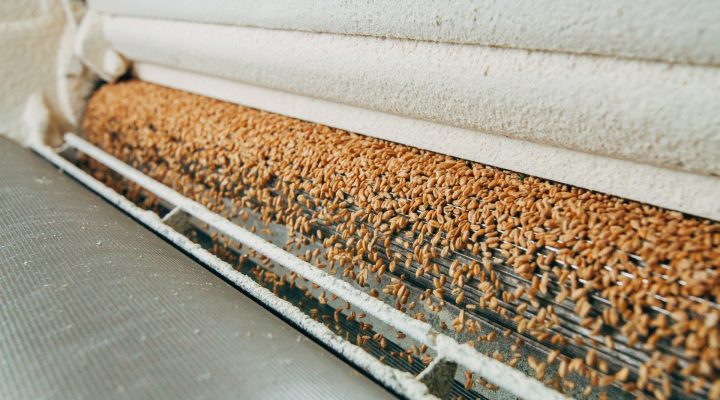 Production,Of,Wheat,Flour Production of wheat flour